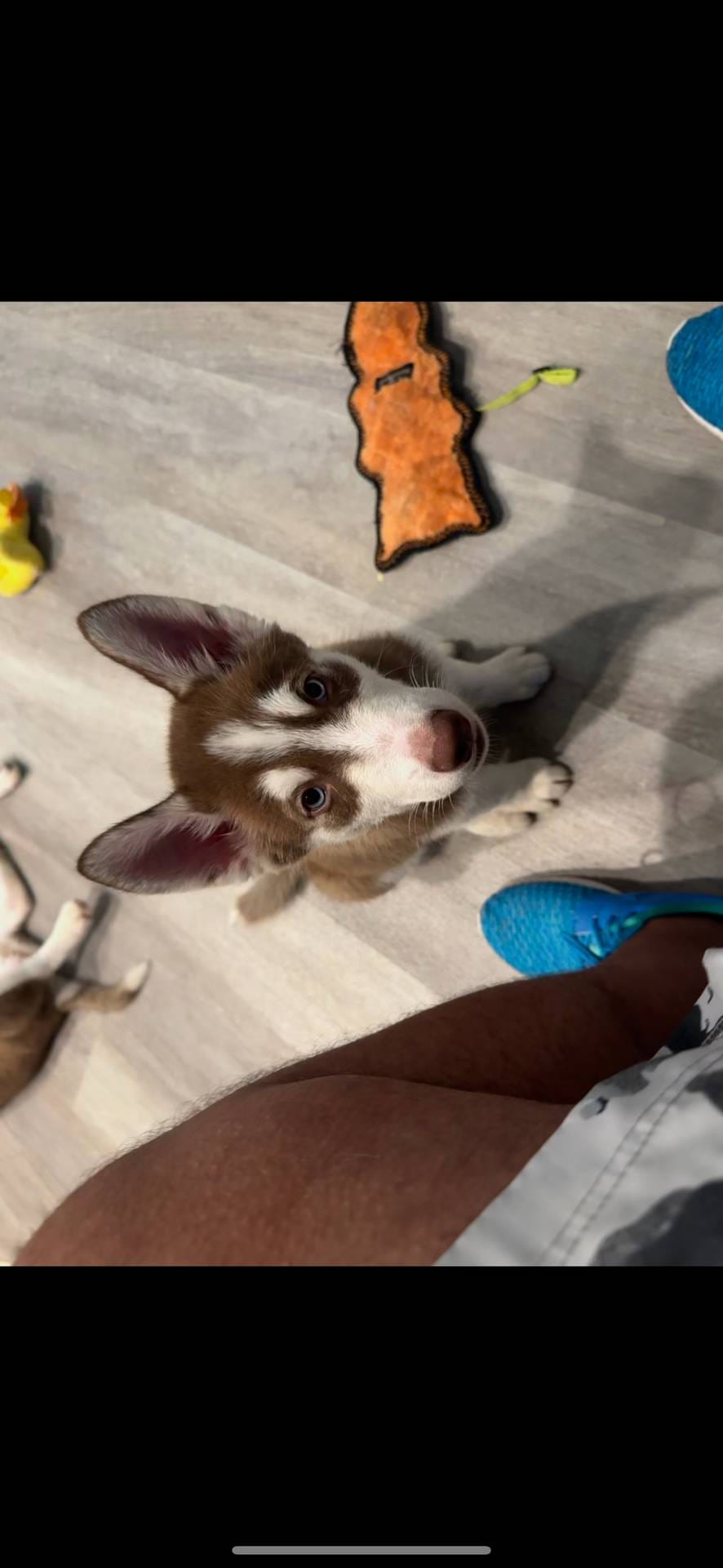 f552b436-b1ad-4206-af50-113676e0ba14/listing/e46ffe6b-b46c-473e-9608-5c5fd2b81115/383b2ea3-cf66-46d1-b9ea-50cd3c63e492