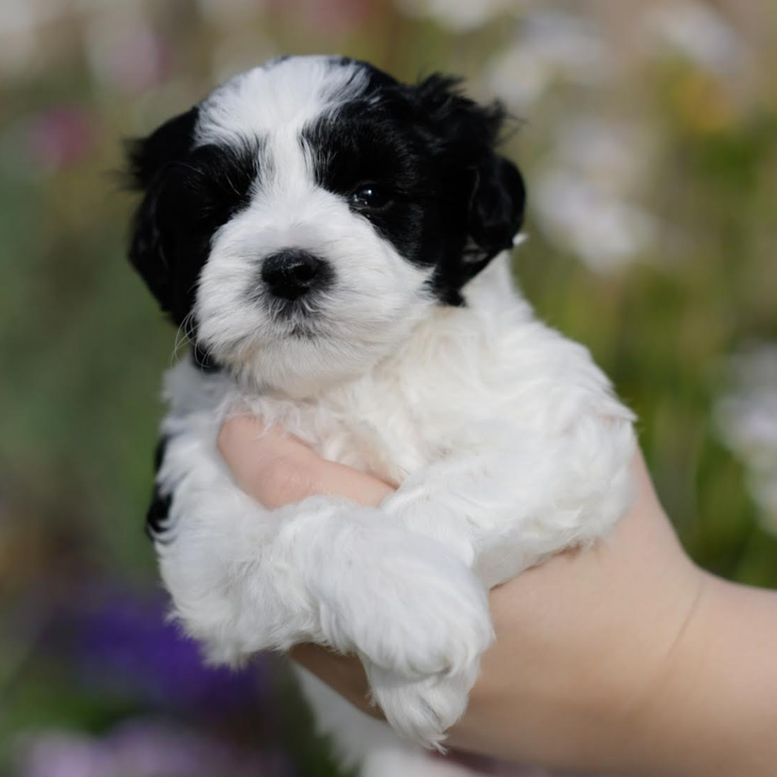 f7426b35-2bfc-4f80-bfb1-af57707723f3/facility/e84c37d0-1056-47ad-a885-6c220b11e099