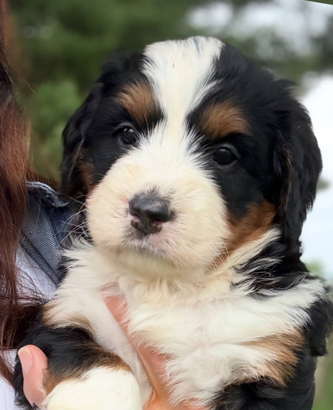 f79bc4ff-96b4-4632-9ab3-46ea85a4aa5b/facility/4728ad68-d2f4-4835-9eea-c43a9153b3b9