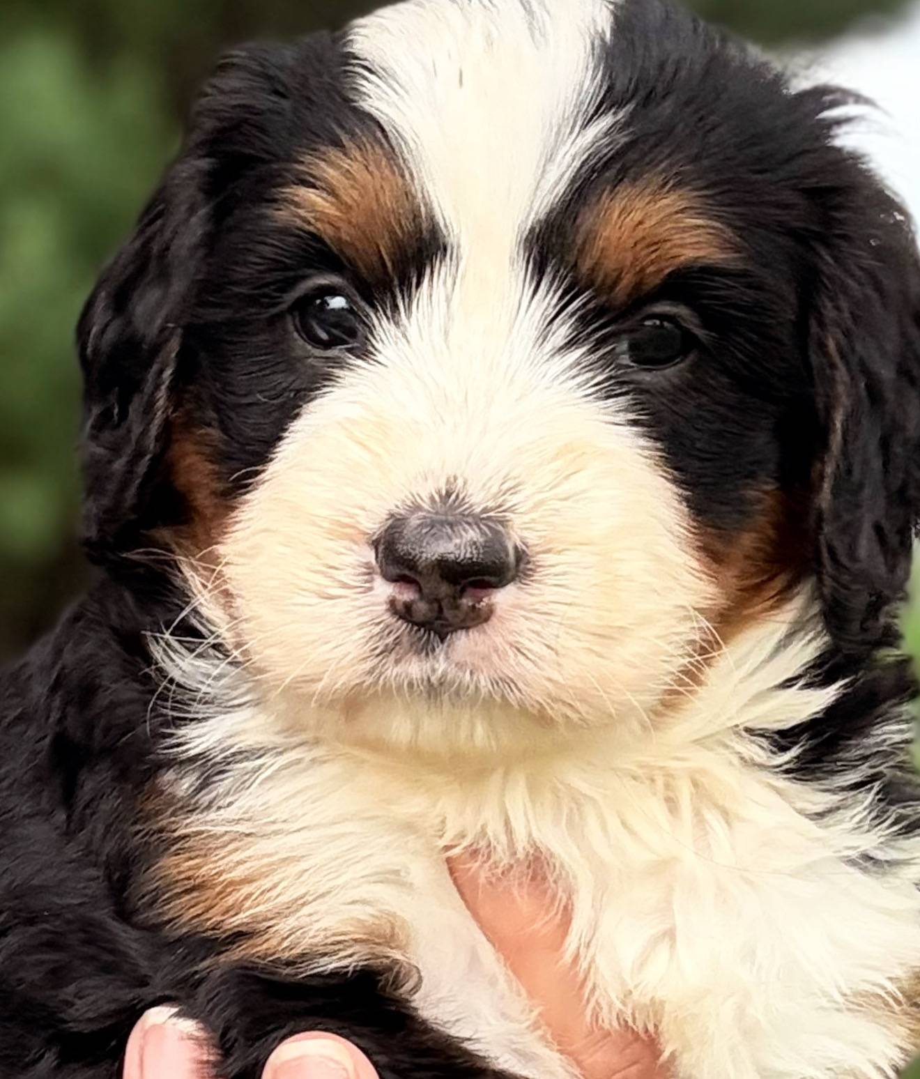 f79bc4ff-96b4-4632-9ab3-46ea85a4aa5b/facility/54008b05-51e9-4445-9082-dfc7c97e19ad