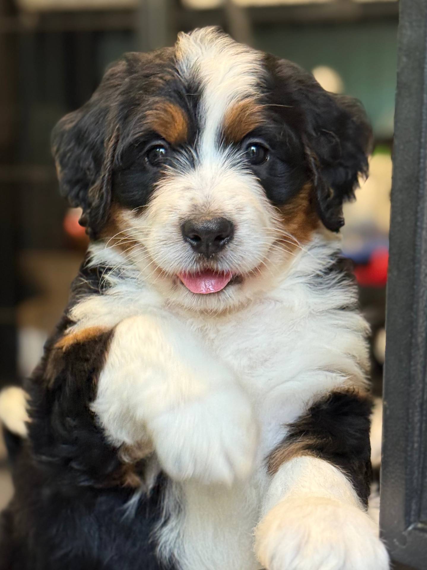 f79bc4ff-96b4-4632-9ab3-46ea85a4aa5b/facility/dd6f5b34-8b57-40b6-baff-a9c7279dd772