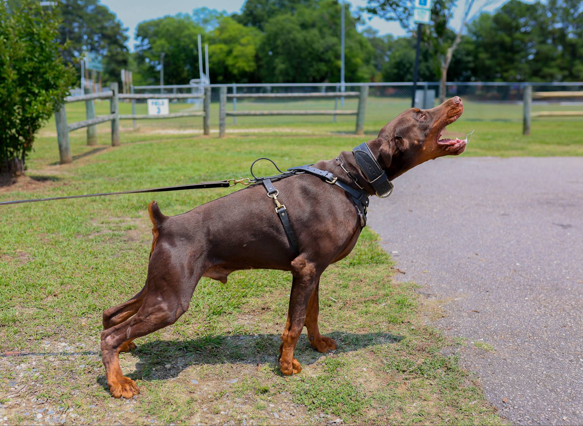 f936fd13-7ab1-4b8e-b372-4e5d32ee3cea/facility/f18e018a-aac3-4094-9814-f6a943d9a523