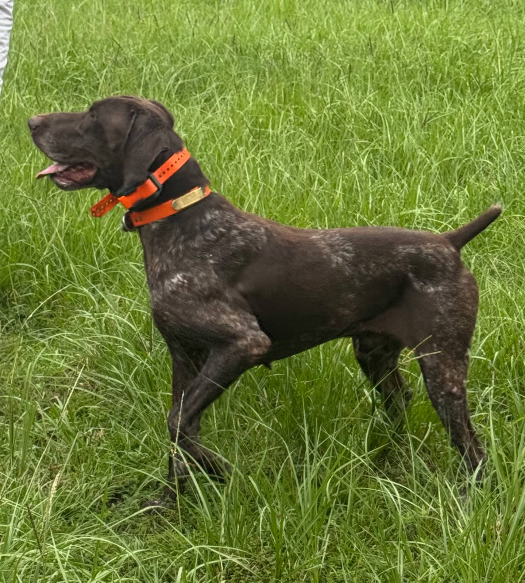 fa822255-cf44-476b-a1f5-506a2b2be1c5/facility/11f46773-c8c0-4b1e-a04c-26ef5aa0f5af