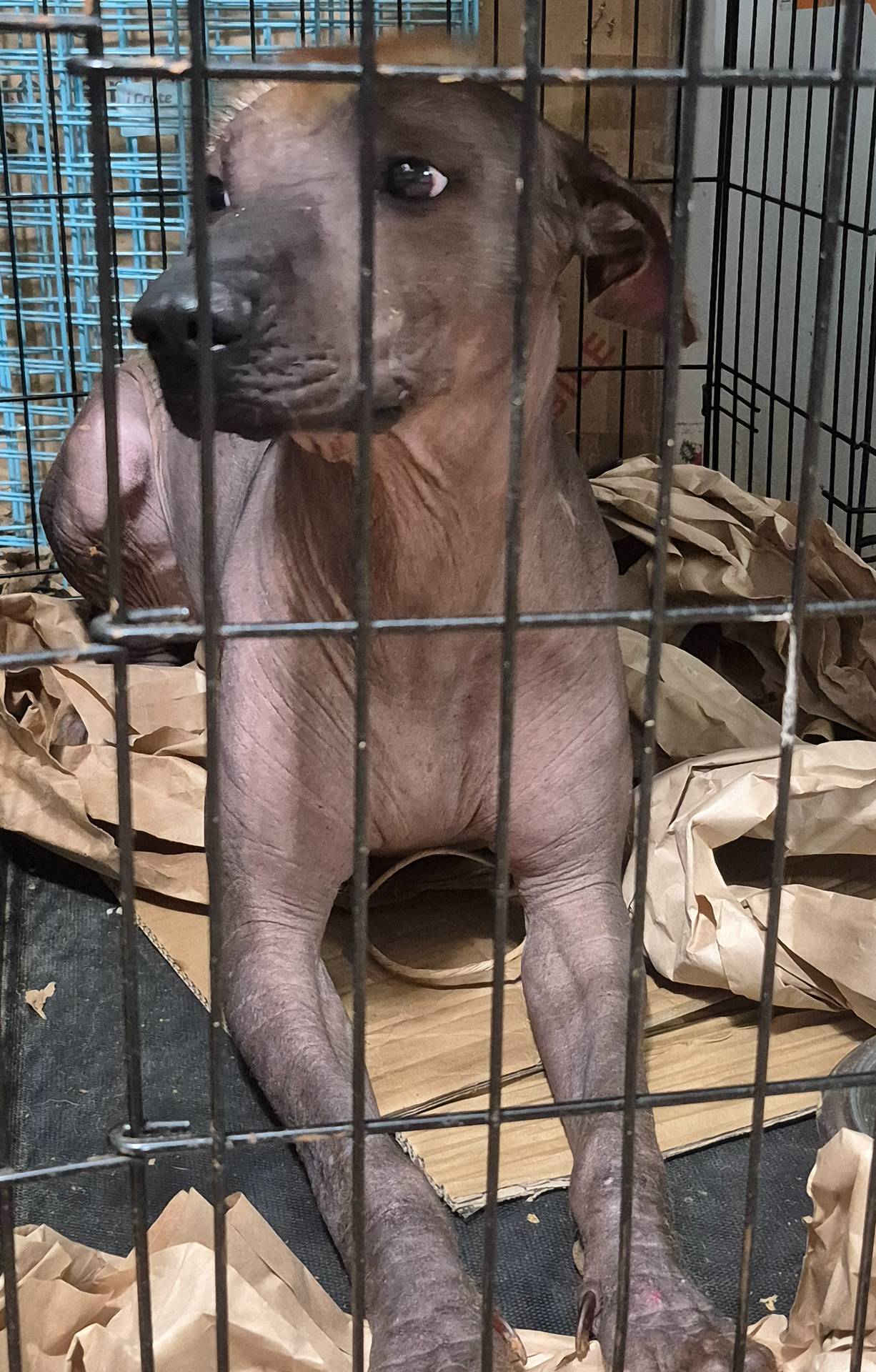 faf10895-426e-40ca-9649-334f723adcc2/listing/22ec1155-a43b-4c7f-8dfd-bfd284e3c2c1/873b1fe1-6767-443b-90ec-48fe29960871