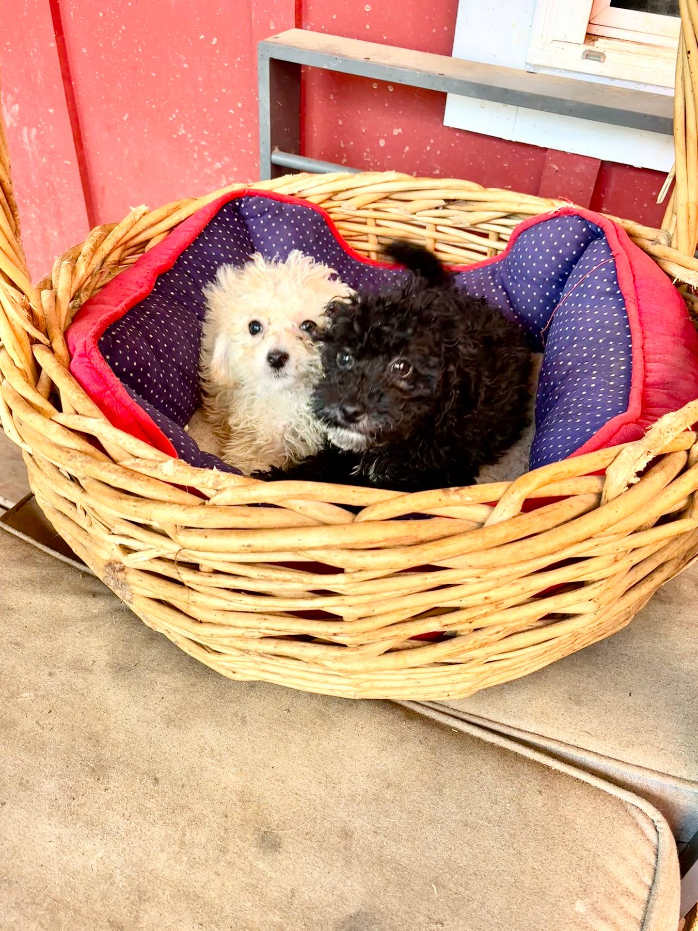 fb5fa037-1632-45bc-9025-3017dac59154/listing/17acaa5e-1801-4e0f-b676-64b50ba22deb/137905b3-28f4-49bf-b2bd-b5761dd92530