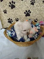 processed/001055ba-9e77-49ae-8951-487728a3ab21/listing/6d41e89e-140c-4eda-95bc-b772987e3bc7/0e694976-918f-4e01-9a1e-a34852df88f0