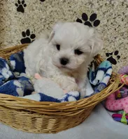 processed/001055ba-9e77-49ae-8951-487728a3ab21/listing/6d41e89e-140c-4eda-95bc-b772987e3bc7/3c1eec3c-290f-431d-9b66-521b20ac1162