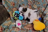 processed/001055ba-9e77-49ae-8951-487728a3ab21/listing/928734d6-1a3b-449b-993b-18afe73aaf59/8de170e3-3d54-4c92-855f-7d4e10f4295d