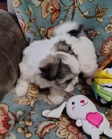 processed/001055ba-9e77-49ae-8951-487728a3ab21/listing/928734d6-1a3b-449b-993b-18afe73aaf59/e63dc371-932f-443d-9564-8c477c13d49d