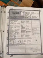 Bella, a female Australian Shepherd for sale in Huntsville, AL – Photo 9 of 9