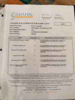 Bella, a female Australian Shepherd for sale in Huntsville, AL – Photo 7 of 9