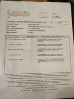 Bella, a female Australian Shepherd for sale in Huntsville, AL – Photo 6 of 9