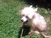 processed/0013e722-4dc1-4469-94a9-3c4bf753ce00/listing/30311d7a-f855-4f76-8413-d3f0562bcaca/366914f6-9da4-4b96-93ef-122270644f6f