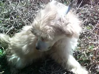 processed/0013e722-4dc1-4469-94a9-3c4bf753ce00/listing/30311d7a-f855-4f76-8413-d3f0562bcaca/7ee81410-2eb1-404a-83d7-c539a1ba56dd