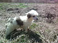 processed/0013e722-4dc1-4469-94a9-3c4bf753ce00/listing/8b034801-3da1-4693-bfd3-eae477750fd0/cbc04d02-381d-4873-b202-094f681af1dc