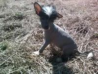 processed/0013e722-4dc1-4469-94a9-3c4bf753ce00/listing/b7fe0775-6ddc-4d73-8b5a-be30b1b5085e/40bc123c-c10c-428f-a772-ce2597c05605