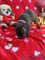 processed/0015b45a-9949-4595-b7d0-db0bac068331/listing/25b66c86-bde3-46ab-bc01-c268d2e17b47/52ad405b-addd-4cc1-8c18-b2d2a1a7fc43