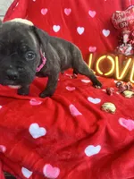 processed/0015b45a-9949-4595-b7d0-db0bac068331/listing/25b66c86-bde3-46ab-bc01-c268d2e17b47/544a1939-793c-4acc-91d4-b418510c1a81