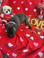 processed/0015b45a-9949-4595-b7d0-db0bac068331/listing/25b66c86-bde3-46ab-bc01-c268d2e17b47/6e78cae4-a1fb-4539-a5a7-37b434dffef7