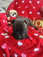 processed/0015b45a-9949-4595-b7d0-db0bac068331/listing/25b66c86-bde3-46ab-bc01-c268d2e17b47/7e319294-2b7d-4a19-aa8c-9b0042616567