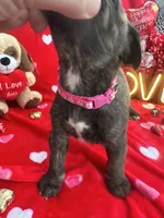 processed/0015b45a-9949-4595-b7d0-db0bac068331/listing/25b66c86-bde3-46ab-bc01-c268d2e17b47/85d21090-f168-4c23-87aa-b6b04caf9351