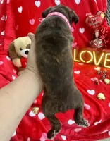 processed/0015b45a-9949-4595-b7d0-db0bac068331/listing/25b66c86-bde3-46ab-bc01-c268d2e17b47/8bcaf6ab-5eef-42a3-aedc-3fc14b4cb2b7