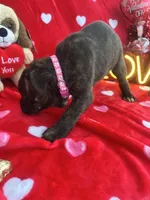 processed/0015b45a-9949-4595-b7d0-db0bac068331/listing/25b66c86-bde3-46ab-bc01-c268d2e17b47/9555b720-c00d-45f2-b9c2-f43e844c2fed