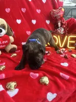 processed/0015b45a-9949-4595-b7d0-db0bac068331/listing/2dfbda13-01df-4302-8447-2f2e1d76c622/08127c2e-d4bb-4595-8e99-1a888d32feec