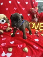 processed/0015b45a-9949-4595-b7d0-db0bac068331/listing/2dfbda13-01df-4302-8447-2f2e1d76c622/1f9c6cfa-19b3-4fd6-b380-53eea2ed9170