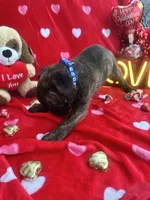 processed/0015b45a-9949-4595-b7d0-db0bac068331/listing/2dfbda13-01df-4302-8447-2f2e1d76c622/57dc8881-ba29-4ea7-a440-686dc203e90d