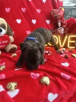 processed/0015b45a-9949-4595-b7d0-db0bac068331/listing/2dfbda13-01df-4302-8447-2f2e1d76c622/cfb710bd-b9dd-4de6-a49f-623666ee14cc