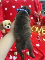 processed/0015b45a-9949-4595-b7d0-db0bac068331/listing/2dfbda13-01df-4302-8447-2f2e1d76c622/e27e5987-97e6-4678-ba24-53864e0fbd29