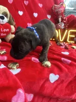 processed/0015b45a-9949-4595-b7d0-db0bac068331/listing/2dfbda13-01df-4302-8447-2f2e1d76c622/f373448b-f33e-4333-8aae-5adf9b02a61e