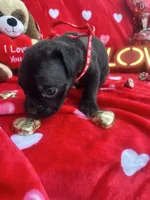 processed/0015b45a-9949-4595-b7d0-db0bac068331/listing/3c1f3ce6-4e56-42c0-8e78-6dcbee381417/078405b8-8e69-45b7-b647-7c33e2631767