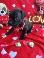 processed/0015b45a-9949-4595-b7d0-db0bac068331/listing/3c1f3ce6-4e56-42c0-8e78-6dcbee381417/1a180373-00d2-438a-92c9-4d8bb6646fa2