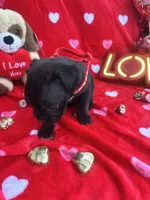 processed/0015b45a-9949-4595-b7d0-db0bac068331/listing/3c1f3ce6-4e56-42c0-8e78-6dcbee381417/1deda659-f493-44a6-9f85-de42490c2a99