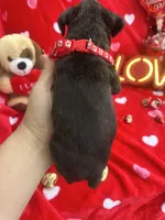 processed/0015b45a-9949-4595-b7d0-db0bac068331/listing/3c1f3ce6-4e56-42c0-8e78-6dcbee381417/1eab45ac-4c15-42ee-8f85-5a32f747a3ff