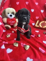 processed/0015b45a-9949-4595-b7d0-db0bac068331/listing/3c1f3ce6-4e56-42c0-8e78-6dcbee381417/57d3ad26-9bba-4cb5-8914-a241fcb805c5