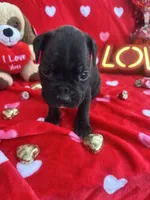 processed/0015b45a-9949-4595-b7d0-db0bac068331/listing/3c1f3ce6-4e56-42c0-8e78-6dcbee381417/67b3dff3-241b-4868-861b-35fa4c39798c