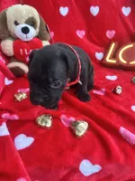 processed/0015b45a-9949-4595-b7d0-db0bac068331/listing/3c1f3ce6-4e56-42c0-8e78-6dcbee381417/929b408d-1cde-4a7d-9a02-120bb9af4730