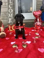 processed/0015b45a-9949-4595-b7d0-db0bac068331/listing/3c1f3ce6-4e56-42c0-8e78-6dcbee381417/c74bf4e3-e1c2-4722-bf84-c45a6580e9cc