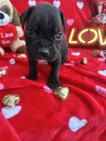 processed/0015b45a-9949-4595-b7d0-db0bac068331/listing/3c1f3ce6-4e56-42c0-8e78-6dcbee381417/e77fd1a6-bd04-49b7-9595-b63f3f261dfd