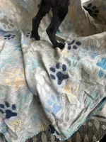 Girl # 2 , a female Cane Corso for sale in Louisville, KY – 2 of 7