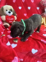 processed/0015b45a-9949-4595-b7d0-db0bac068331/listing/61a6f181-47a1-4c6a-a58d-7d252fe4627a/027a0b91-d673-488c-b988-820c9b3d7846