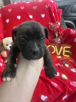 processed/0015b45a-9949-4595-b7d0-db0bac068331/listing/61a6f181-47a1-4c6a-a58d-7d252fe4627a/653fe2d6-58ea-4674-a639-5e411bd4a6d5