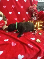 processed/0015b45a-9949-4595-b7d0-db0bac068331/listing/61a6f181-47a1-4c6a-a58d-7d252fe4627a/6e44ee27-cb20-418f-b358-f76821df15be