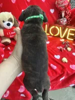 processed/0015b45a-9949-4595-b7d0-db0bac068331/listing/61a6f181-47a1-4c6a-a58d-7d252fe4627a/c3a70c23-71a0-4114-8ba5-65075681fb82