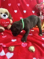 processed/0015b45a-9949-4595-b7d0-db0bac068331/listing/61a6f181-47a1-4c6a-a58d-7d252fe4627a/e8319e26-de3b-4a28-9568-b4ea6efa8374