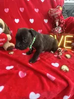 processed/0015b45a-9949-4595-b7d0-db0bac068331/listing/61a6f181-47a1-4c6a-a58d-7d252fe4627a/fbf00eda-8331-45b6-bb4f-ede72fda0f8e