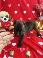 processed/0015b45a-9949-4595-b7d0-db0bac068331/listing/972d0c56-b0f5-48a0-8cbc-f8af426ef5d1/0b15cc88-dce2-4343-ab1c-115b99eb75b5